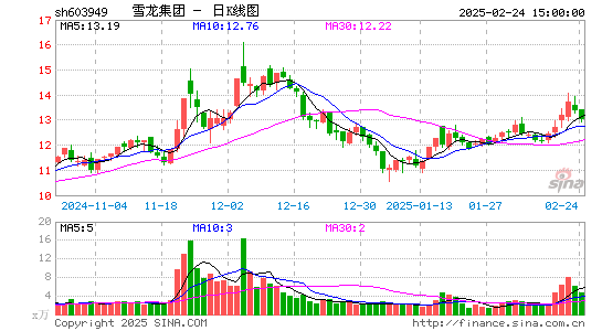 雪龙集团