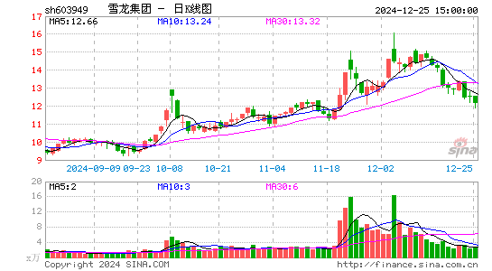 雪龙集团