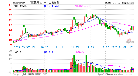 雪龙集团