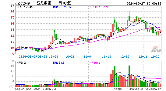 雪龙集团