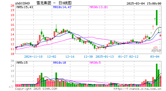 雪龙集团