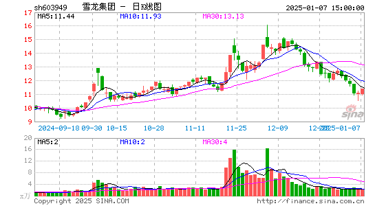 雪龙集团