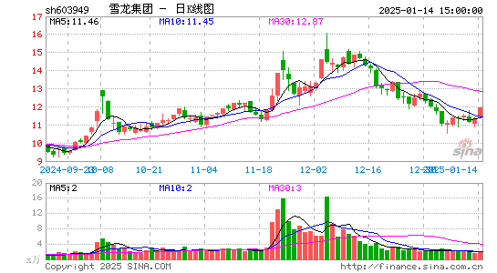 雪龙集团