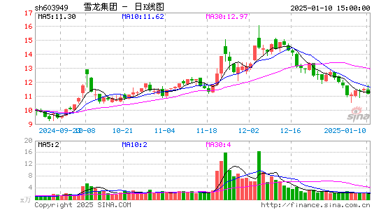 雪龙集团