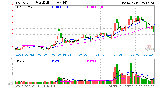 雪龙集团