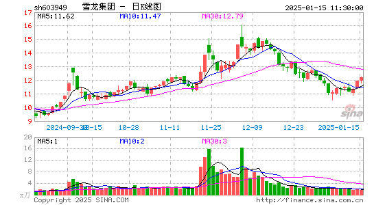 雪龙集团