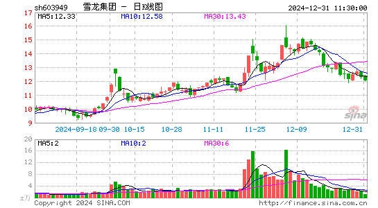 雪龙集团