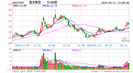 雪龙集团