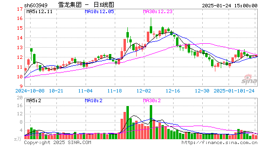 雪龙集团