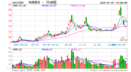 哈森股份