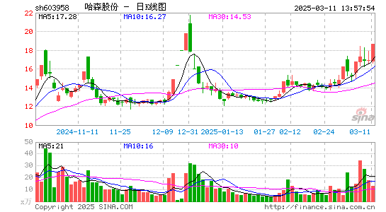 哈森股份