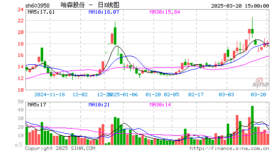 哈森股份