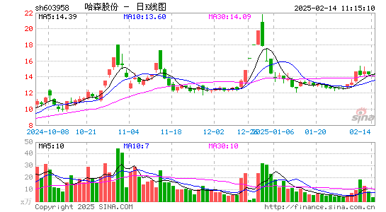 哈森股份