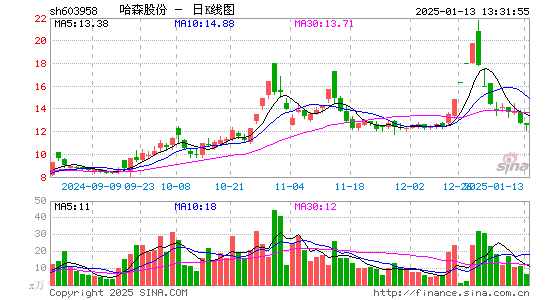 哈森股份