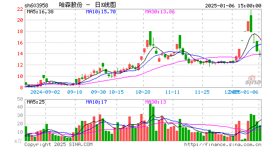 哈森股份