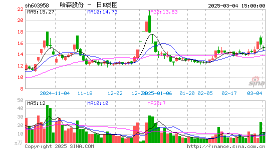 哈森股份