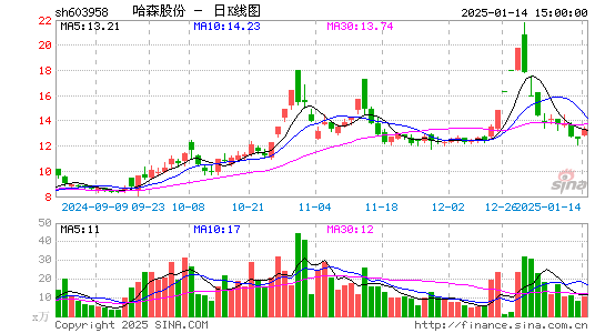 哈森股份