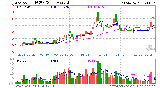 哈森股份