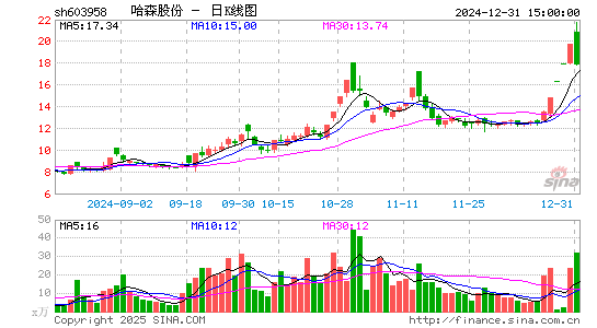 哈森股份