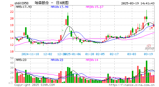 哈森股份