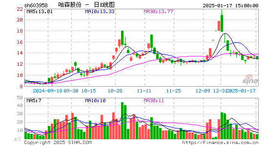 哈森股份