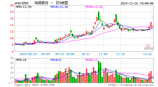 哈森股份