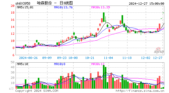 哈森股份