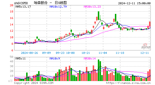 哈森股份