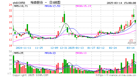 哈森股份