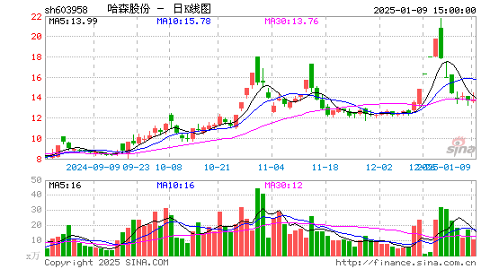 哈森股份