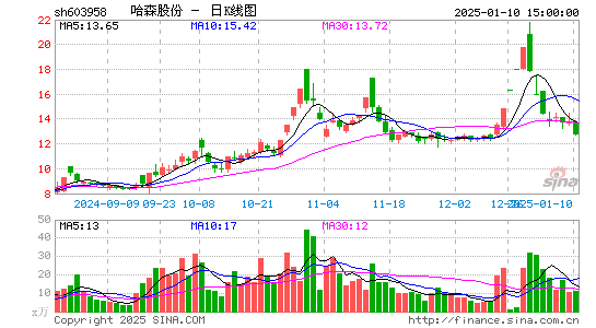 哈森股份