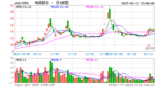 哈森股份