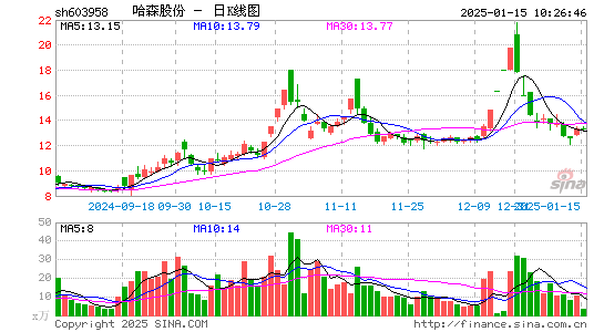 哈森股份