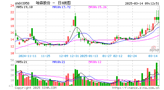 哈森股份