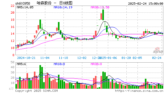 哈森股份