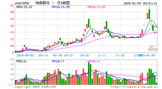 哈森股份