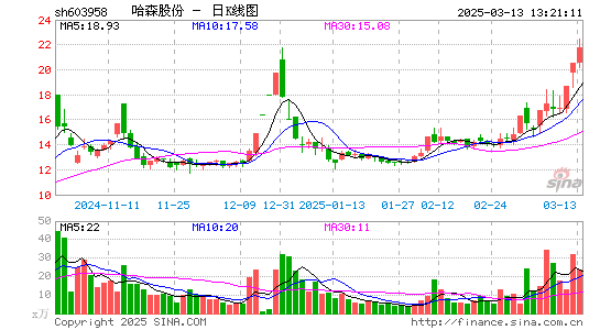 哈森股份