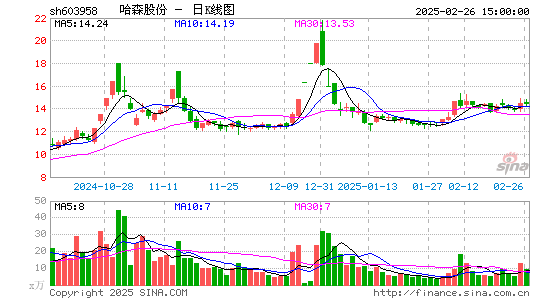 哈森股份