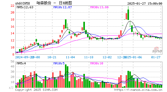 哈森股份