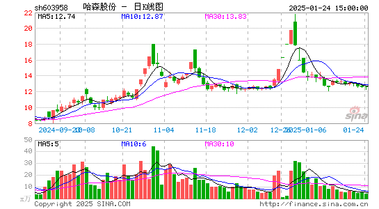 哈森股份