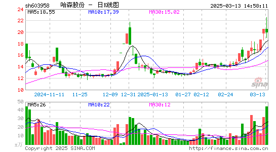 哈森股份