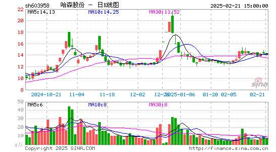 哈森股份