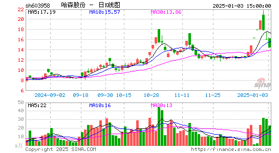 哈森股份