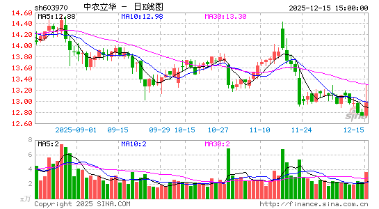 ��ũ����