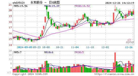 永和股份