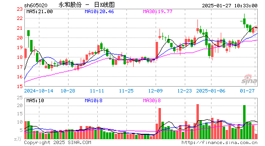 永和股份