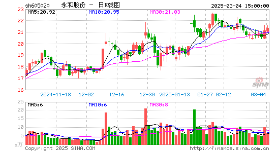 永和股份