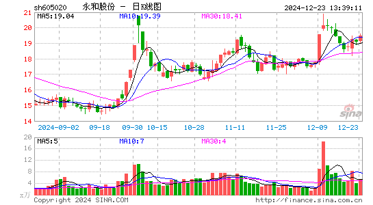 永和股份