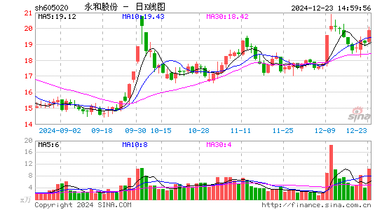 永和股份