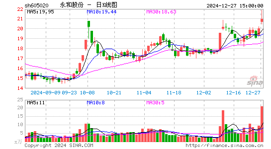 永和股份